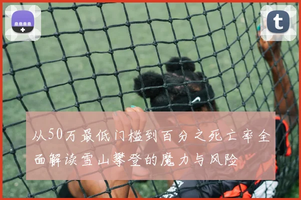 从50万最低门槛到百分之死亡率全面解读雪山攀登的魔力与风险