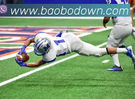 宝博体育发展历程