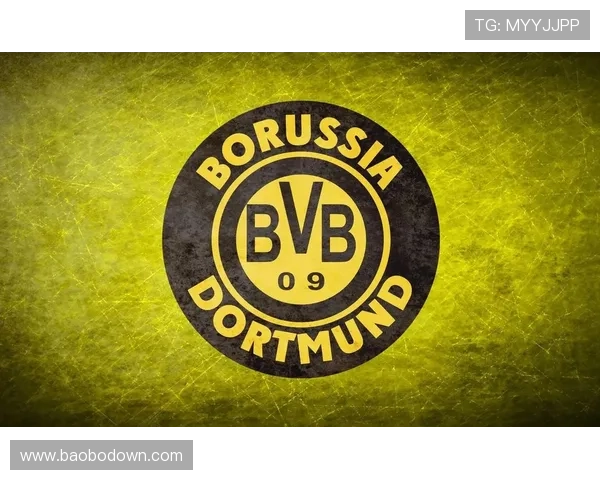 德甲球队队徽的演变过程及背后文化意义